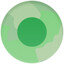 Green Spark